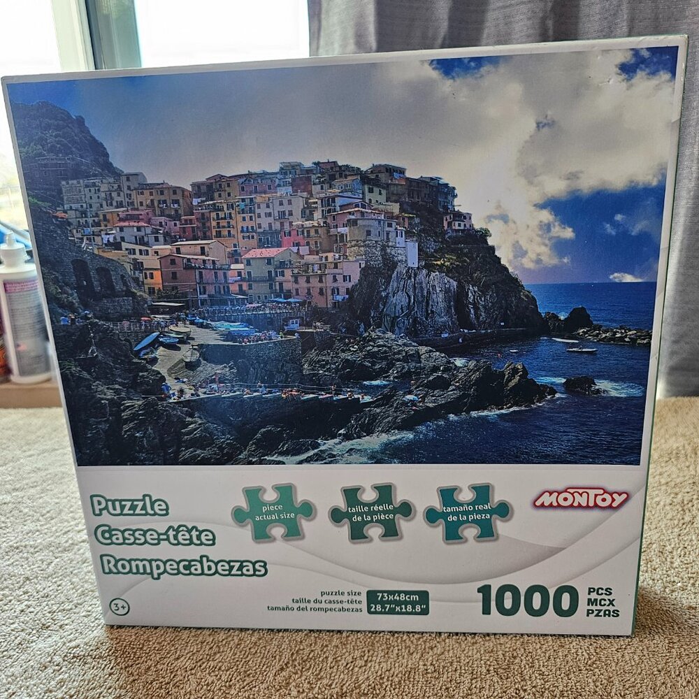 1000 piece Puzzle